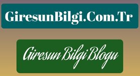 giresun-bilgi-logo.jpg
