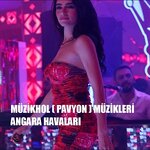 mÜZİKHOL &pavyon.jpg
