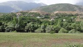 1725281330881.jpeg 1725281330881.jpeg