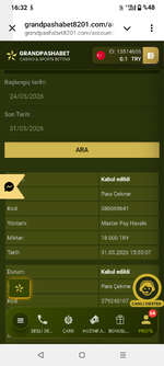 Screenshot_20260531-163226.png