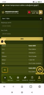 Screenshot_2026-07-29-17-29-55-128_com.opera.browser.jpg