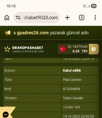 Screenshot_20261015_181854_Chrome.jpg