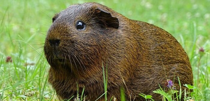 [Resim: 9c1eoMQ.jpg]