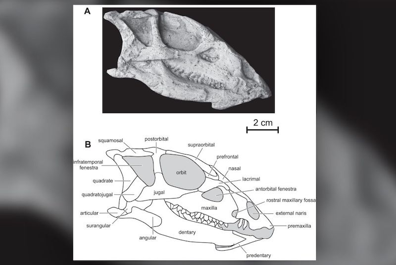 [Resim: eternal2.jpg]