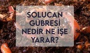 [Resim: 85uxlqv.jpg]