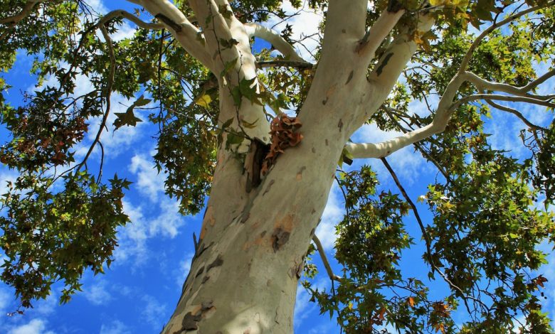 [Resim: 5wABPa1.jpg]