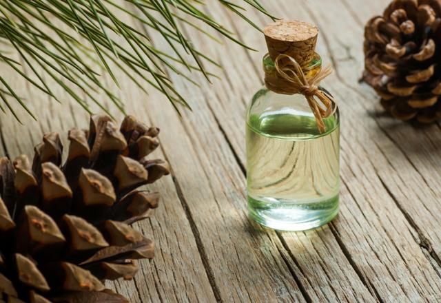 Saç dökülmesini durduran en etkili yöntem! Yeni saçların çıkması için şampuanınıza ekleyin