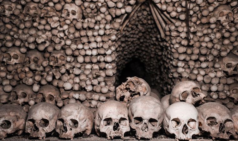 [Resim: kapak_144612.jpg]